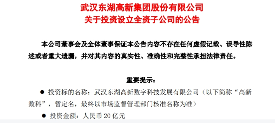 出资20亿！东湖高新拟新设全资子公司武汉东湖高新数字科技发展有限公司