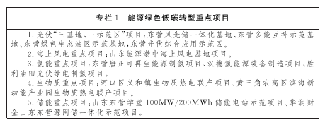 《东营市碳达峰工作方案》发布