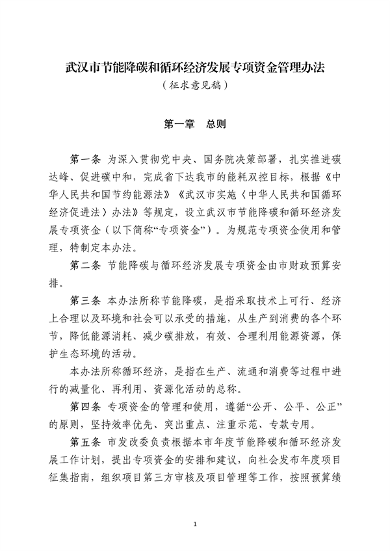 武汉市节能降碳和循环经济发展专项资金管理办法（征求意见稿）
