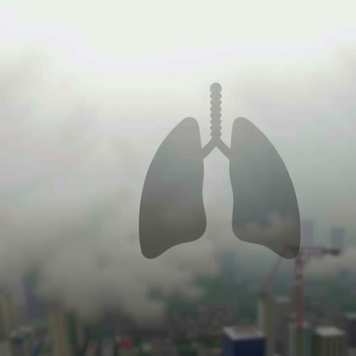 空气重污染致肺癌？专家解答雾霾六大疑问