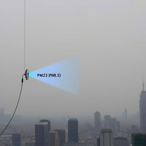 专盯PM2.5 瞎耽误工夫？