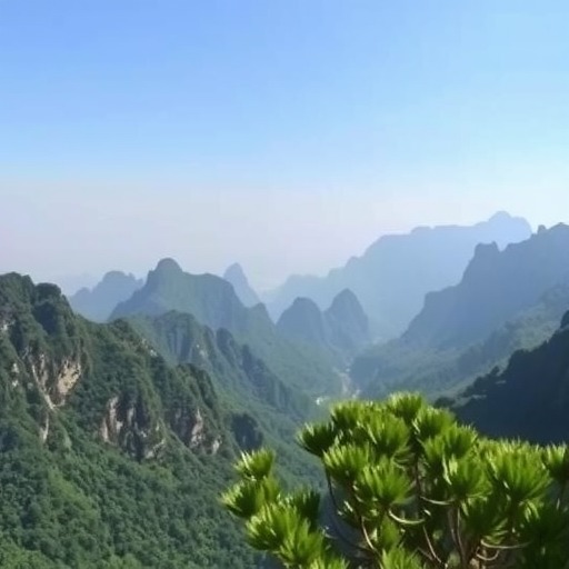 共计2215万元 贵州省下达2024年贵州省生态环境保护专项资金（第二批）预算(图1)